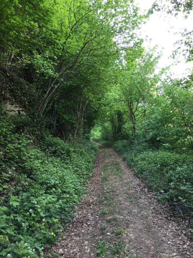 Gite Des Reculees Ladoye-sur-Seille Bagian luar foto