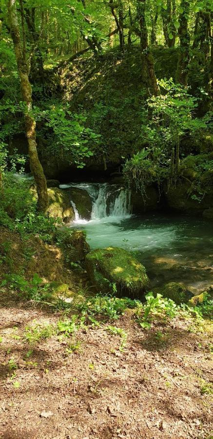 Gite Des Reculees Ladoye-sur-Seille Bagian luar foto